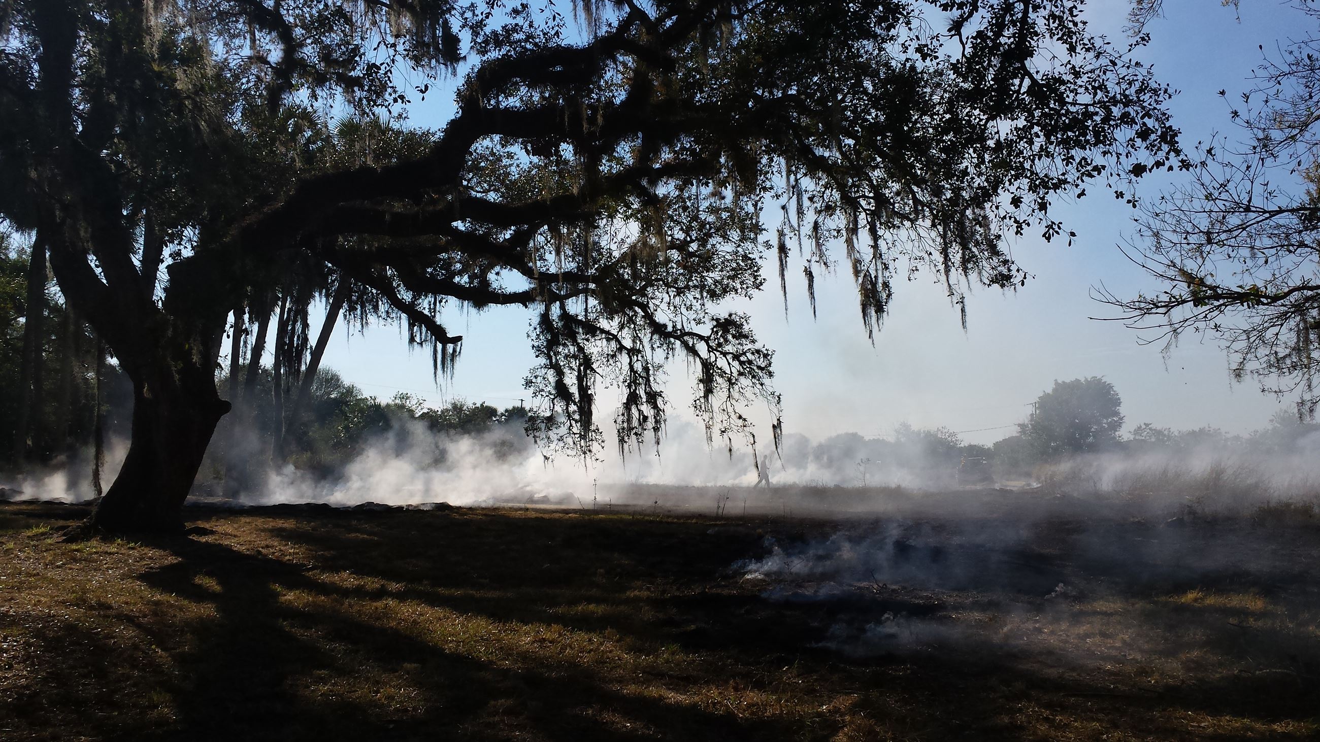 Trowbridge Brush Fire
